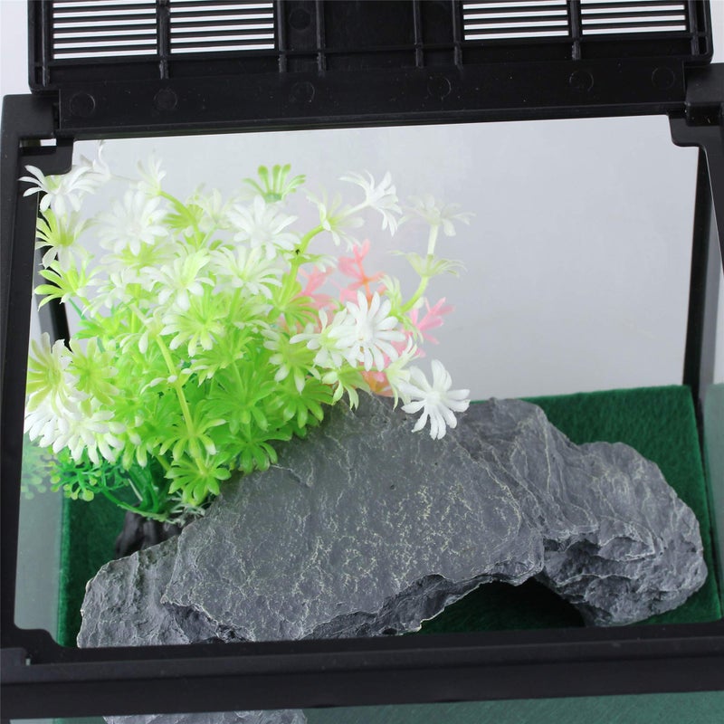 crapelles Black Small Vertical Insect GlassTerrarium, 7.8x7.8x10.8'' Reptile Tank, for Tarantula Larvae Caterpillar Frog Snail Spider Hermit Crab Habitat Container House Cricket Breeding Box - Image 5